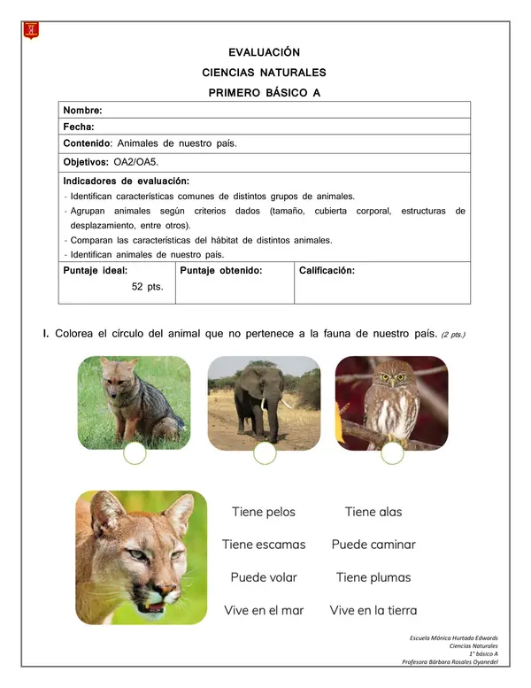 EVALUACIÓN ANIMALES DE CHILE