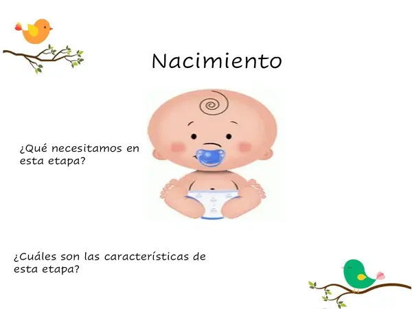 Ciclo de vida de los seres humanos