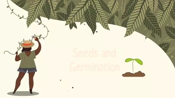 Seed and Germination