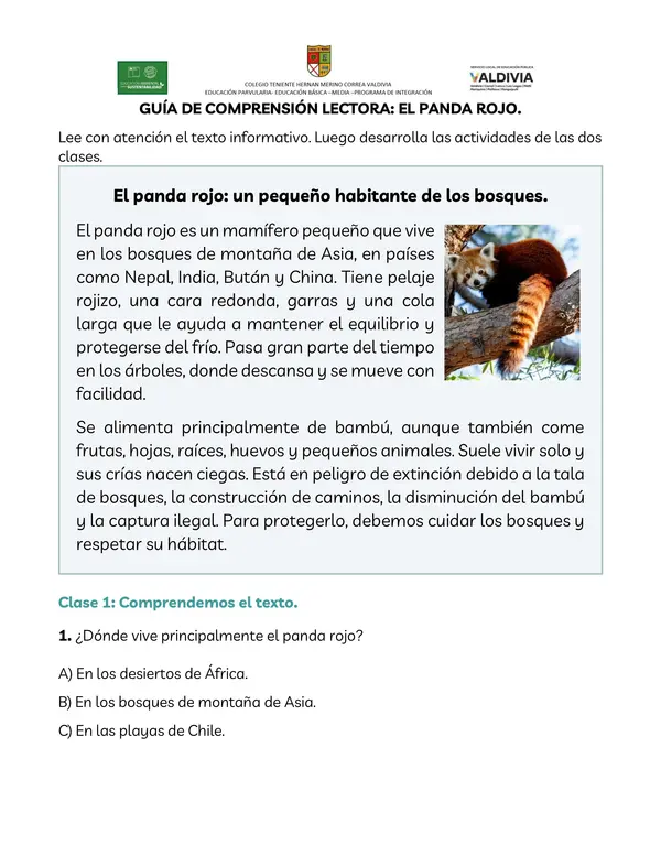 Comprensión de lectura