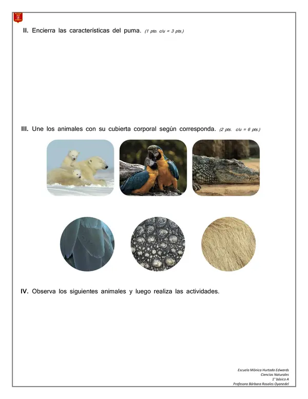 EVALUACIÓN ANIMALES DE CHILE