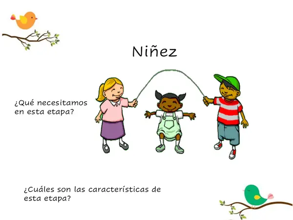 Ciclo de vida de los seres humanos