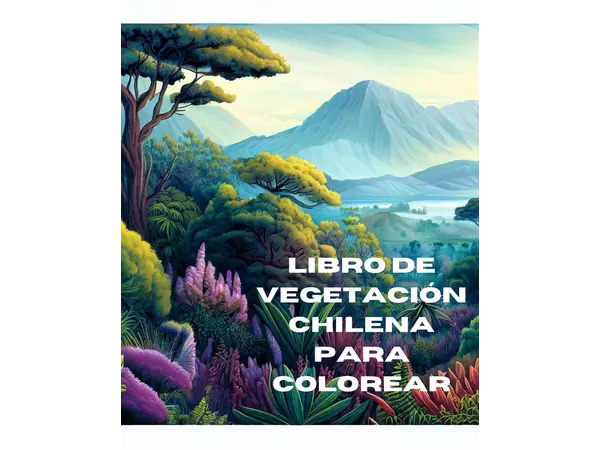 Libro de paisajes chilenos para colorear 
