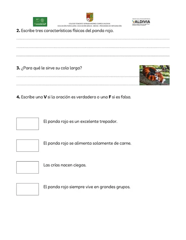 Comprensión de lectura