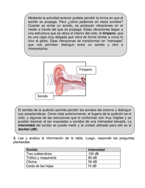 Guía de  aplicación de ciencias "El Sonido" Tercer año.