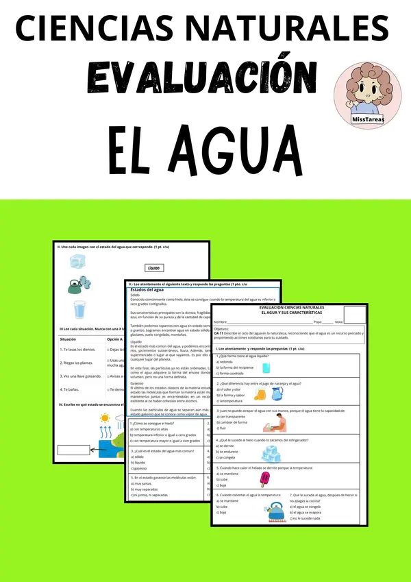 Evaluación de Ciencias: El Agua Estados  2° - 4° Básico | Ciencias Naturales
