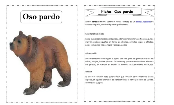 Fichas de animales