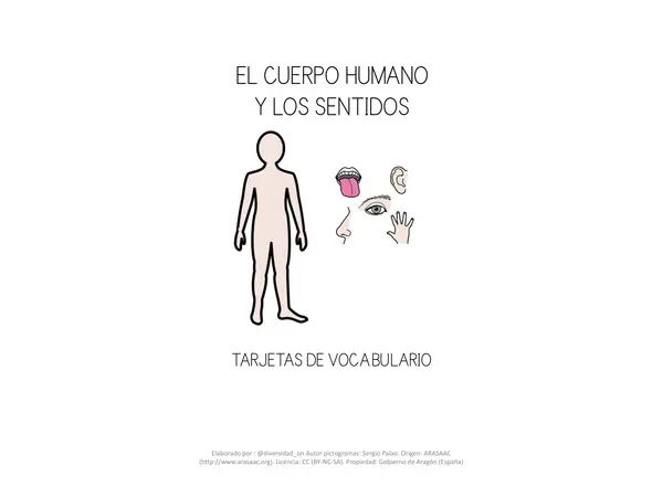 Tarjetas el cuerpo humano 