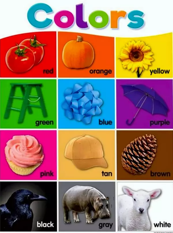 English vocabulary with images