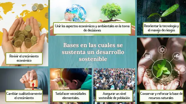 Bases del desarrollo sostenible