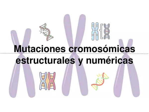 Mutaciones cromosómicas, estructurales y numéricas