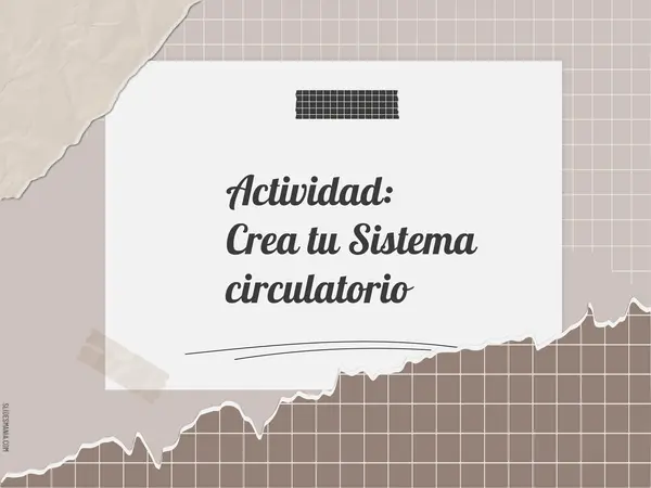 actividad maqueta sistema circulatorio 