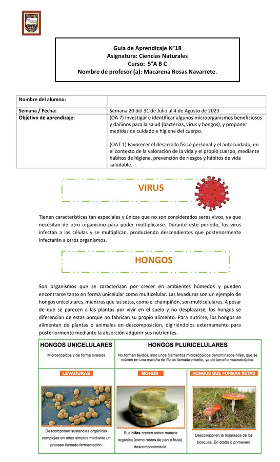 VIRUS Y HONGOS