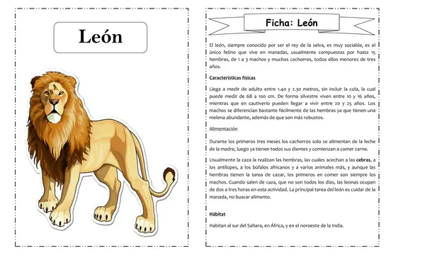 Fichas de animales