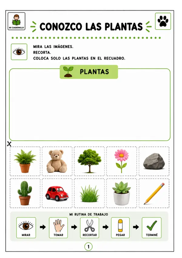 Plantas y animales 