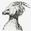 fawkes phoenix - @fawkes.phoenix