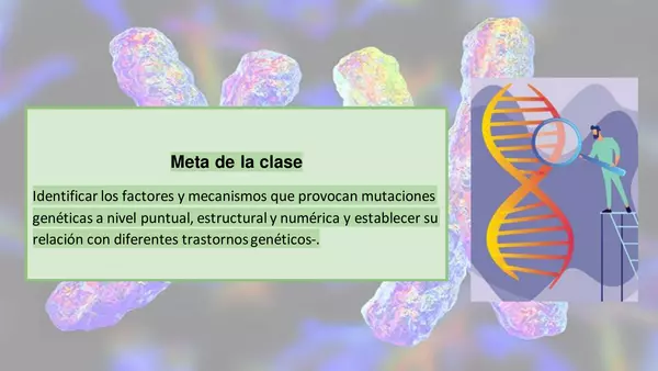 Mutaciones cromosómicas, estructurales y numéricas