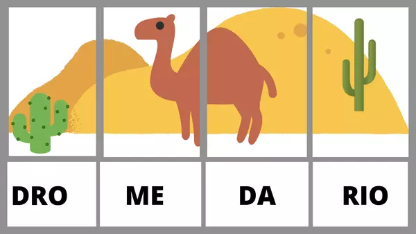 PUZZLES SÍLABAS TRABADAS DR O DÍFONO DR