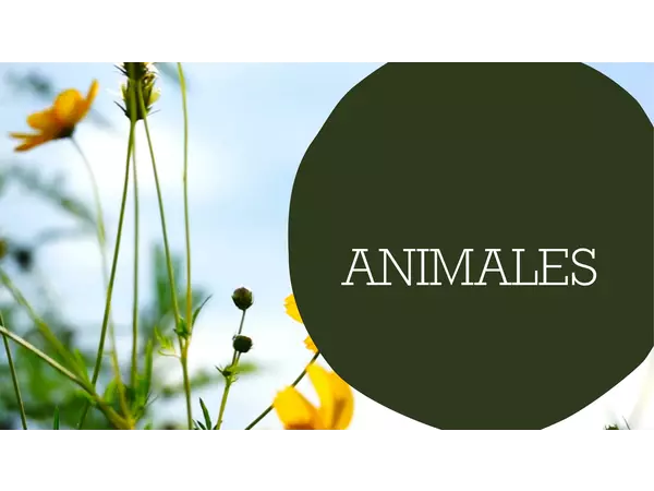 Vocabulario "ANIMALES"