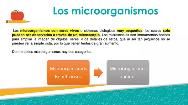 Microorganismos 