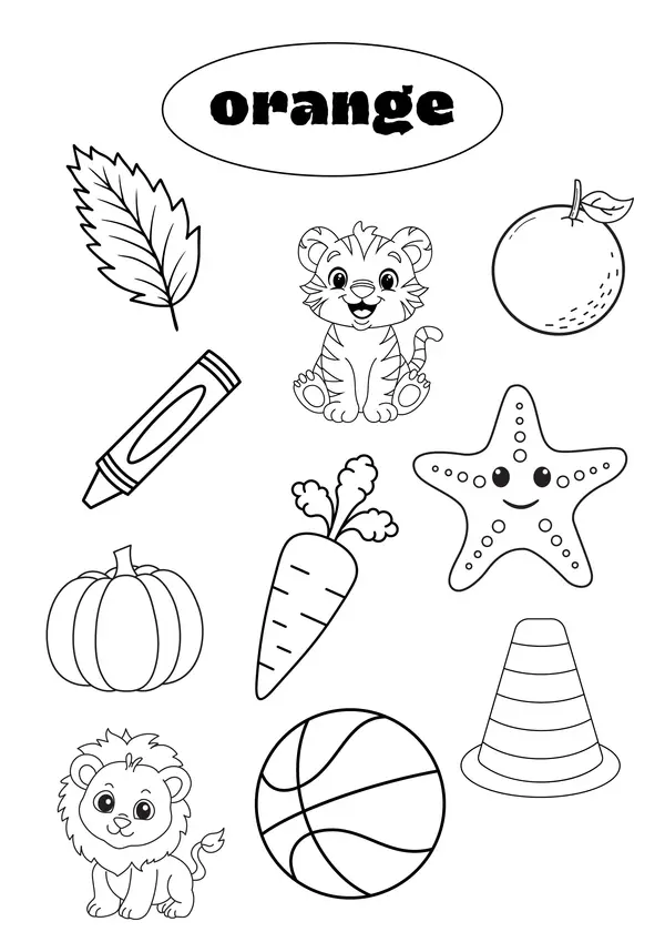 My coloring Activity book