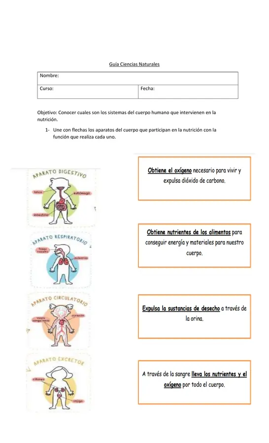 Guia de Ciencias Naturales Aparatos del cuerpo