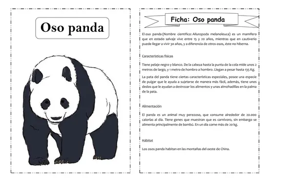 Fichas de animales