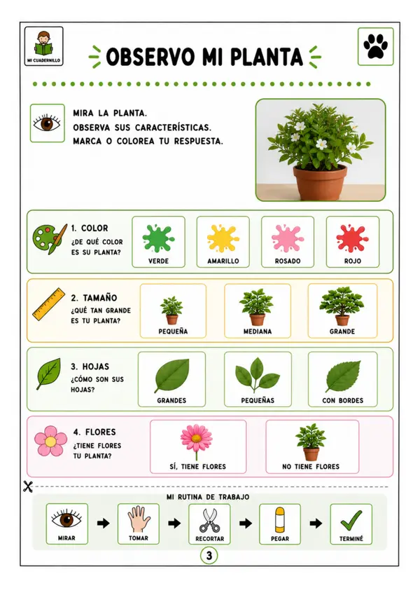 Plantas y animales 