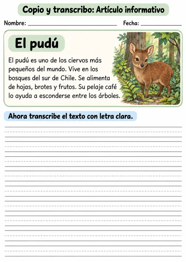 Fichas de Transcripción  