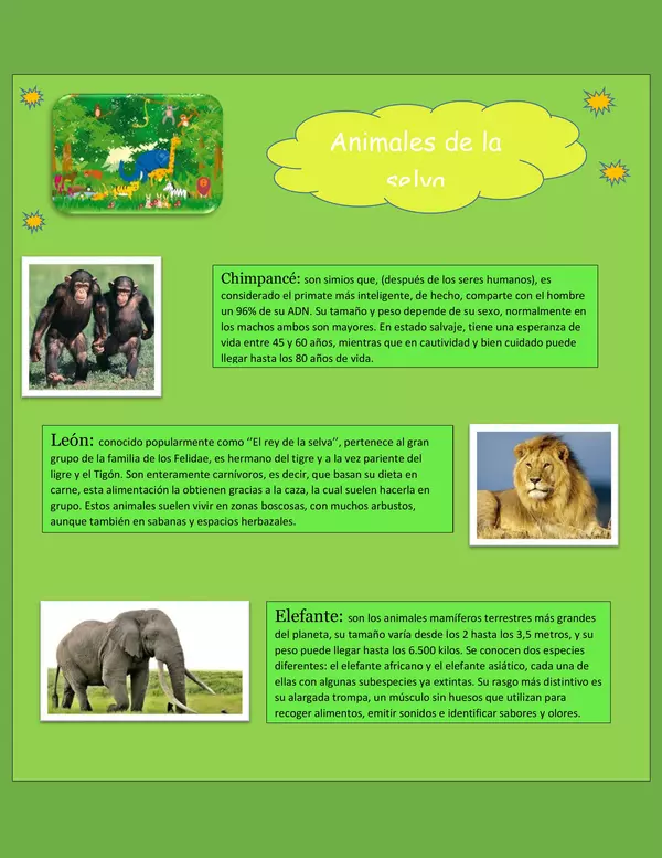 Ficha borrable: ''Animales de la Selva''