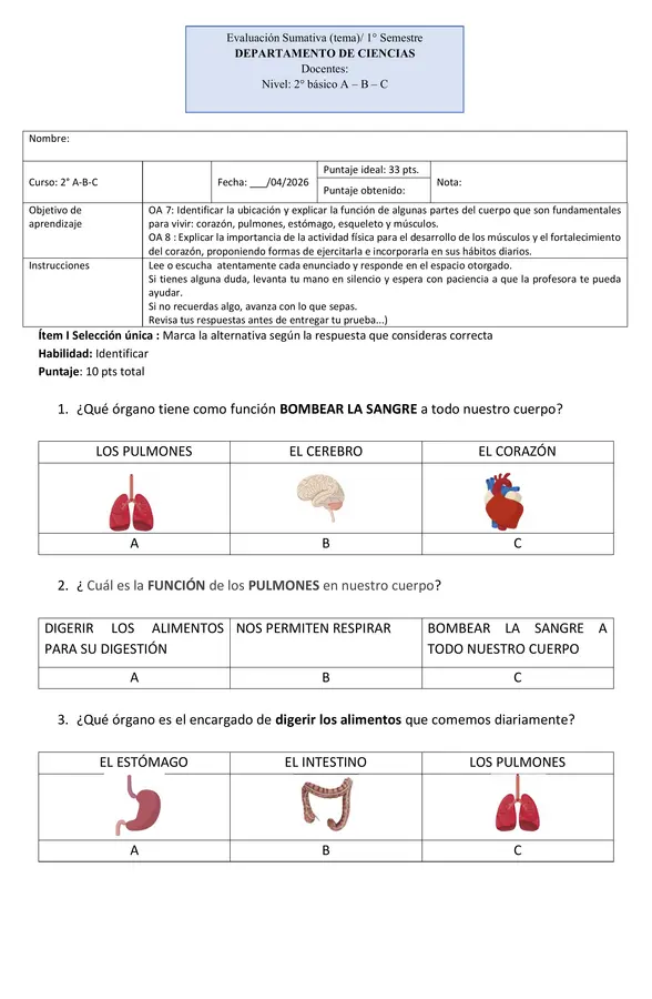 Evaluación ciencias  2° básico órganos interno, esqueleto y músculos 