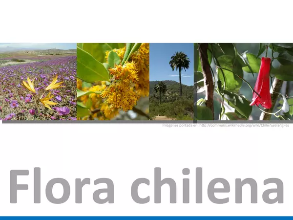 Presentacion Ciencias Naturales  1° basico Flora Chilena