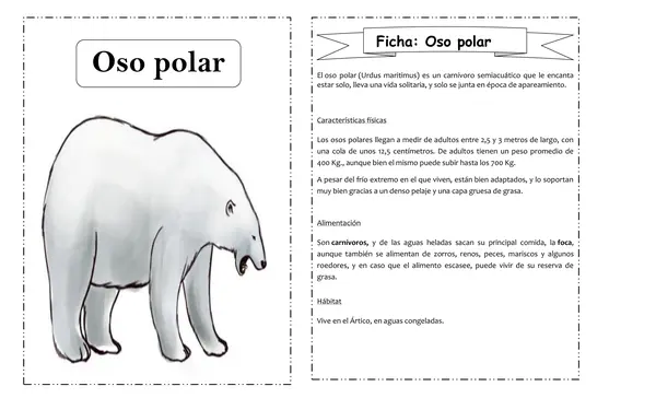 Fichas de animales
