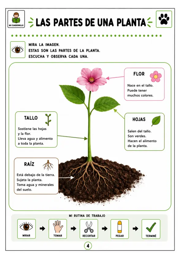 Plantas y animales 