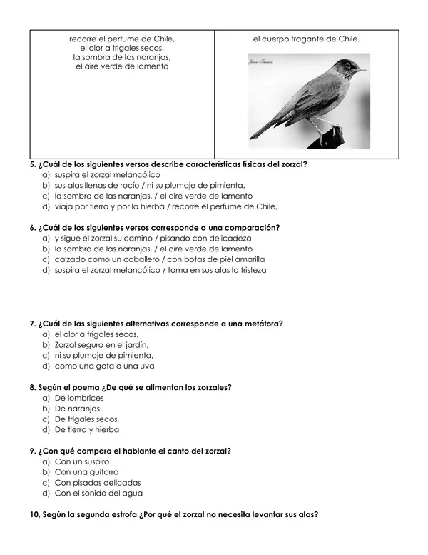 Prueba de contenido género lírico 5to o 6to básico 