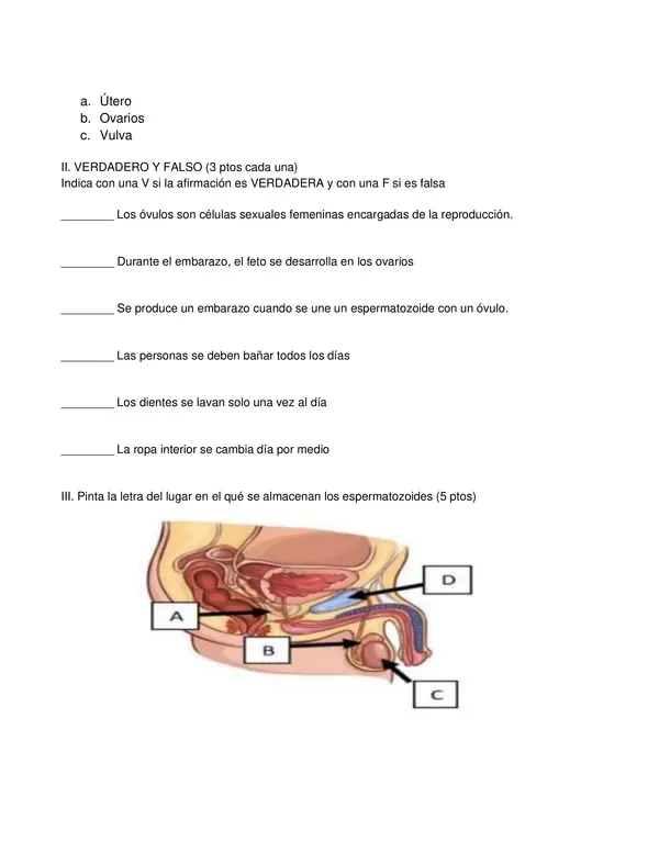 Evaluación aparato reproductor femenino y masculino