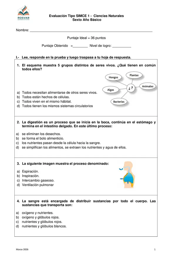 Ensayo Tipo SIMCE 6° Ciencias Naturales n° 1. 
