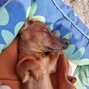 Ivan Caro Gutierrez - @ivan.caro.gutierrez1