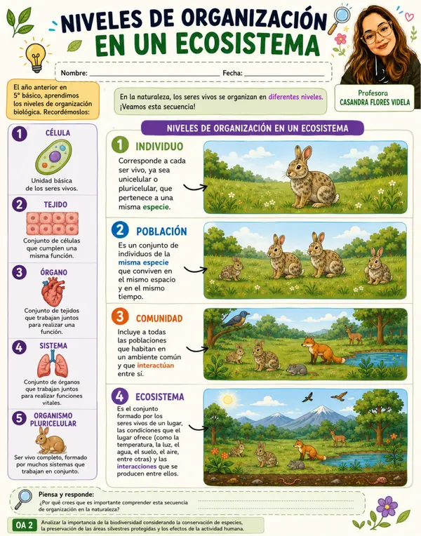 NIVELES DE ECOSISTEMA Y FACTORES BIÓTICOS Y ABIÓTICOS