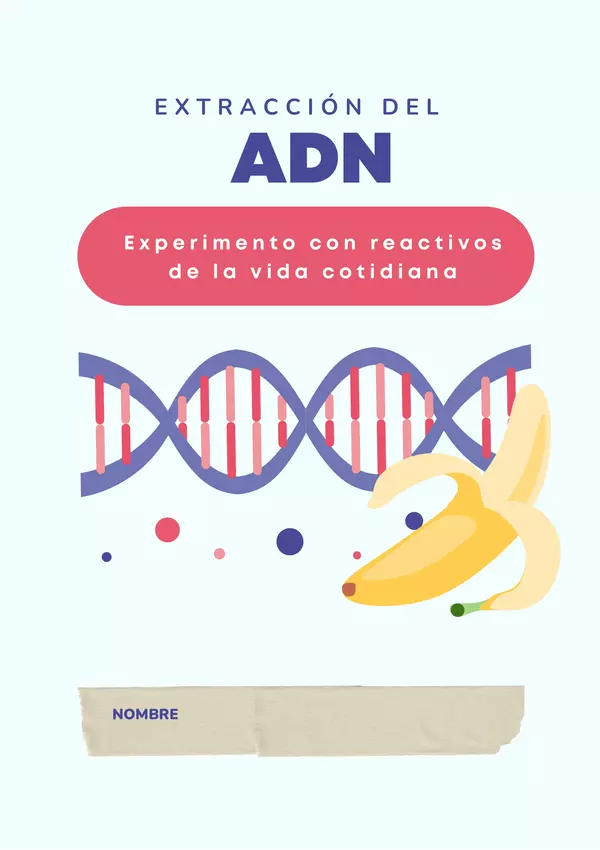 Experimento: extracción del ADN de un plátano