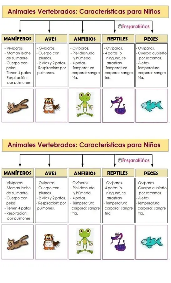 FICHA DE CLASIFICACION DE ANIMALES 