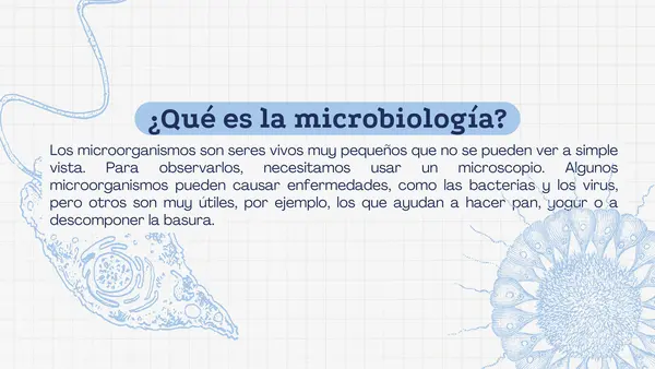 Bacterias, virus y hongos (microorganismos)