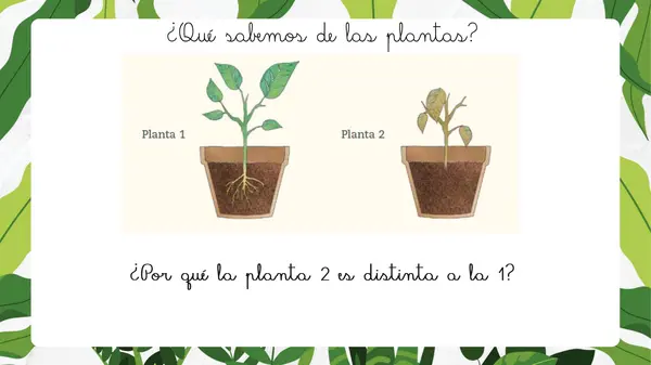 Unidad "Las plantas"