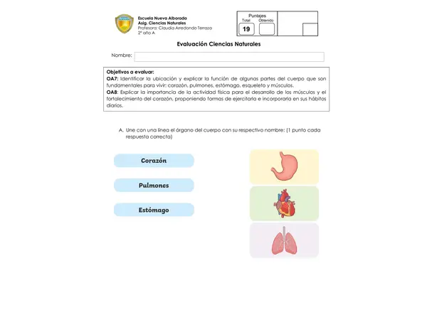 Evaluaci贸n el cuerpo humano: 贸rganos vitales