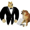 Cheemsito Perro vegano - @cheemsito.perro.vegan