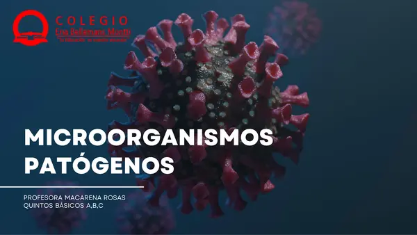 MICROORGANISMOS  PATÓGENOS