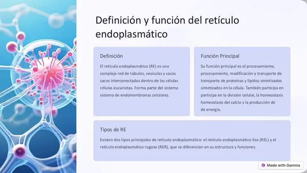 Retículo endoplasmático