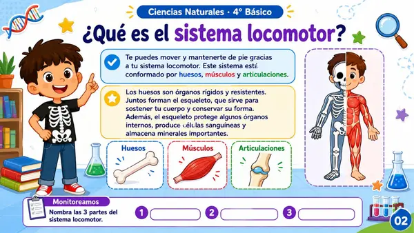Sistema  locomotor 