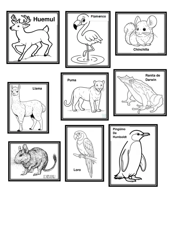 Set animales Unidad 2 Ciencias Naturales "seres vivos" Primero Básico