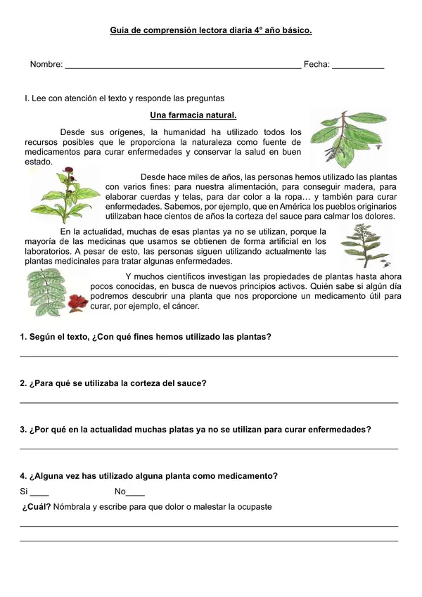 Guía de comprensión lectora diaria 4° año básico "Plantas medicinales"